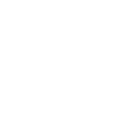 Cross Border Express Logistics