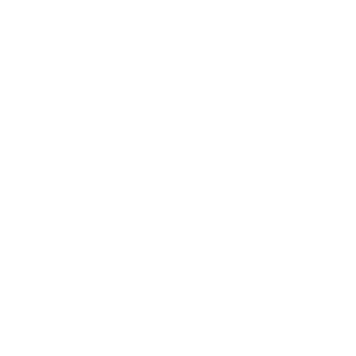 Domestic Express Courier